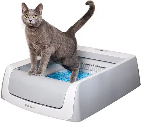 Scoopfree self cleaning litter box