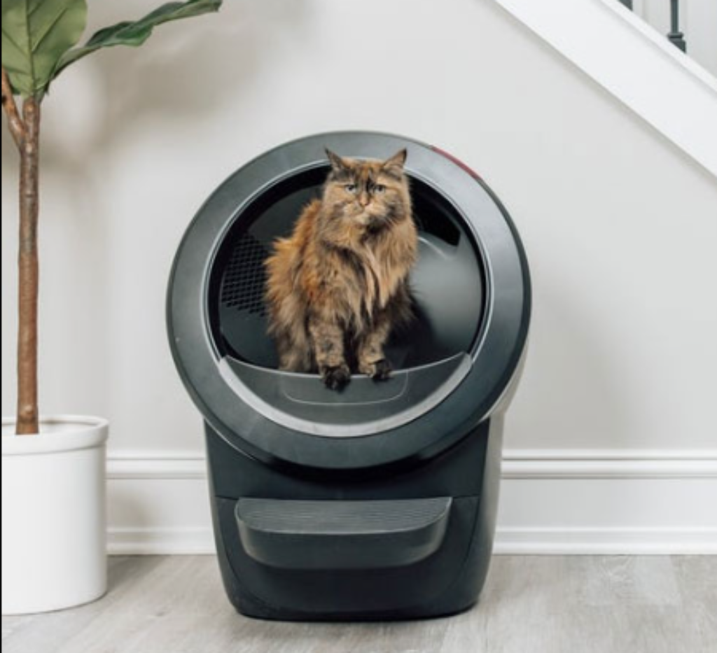 best litter box for multiple cats using the Litter-Robot 4